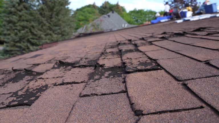 Gutter Replacement in Azalea Park, FL