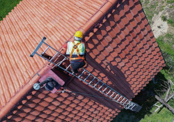 Best Solar Panel Roofing Installation  in Azalea Park, FL