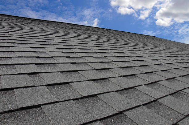 Best Gutter Installation and Repair  in Azalea Park, FL