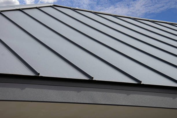Professional Roofing Service in Azalea Park, FL